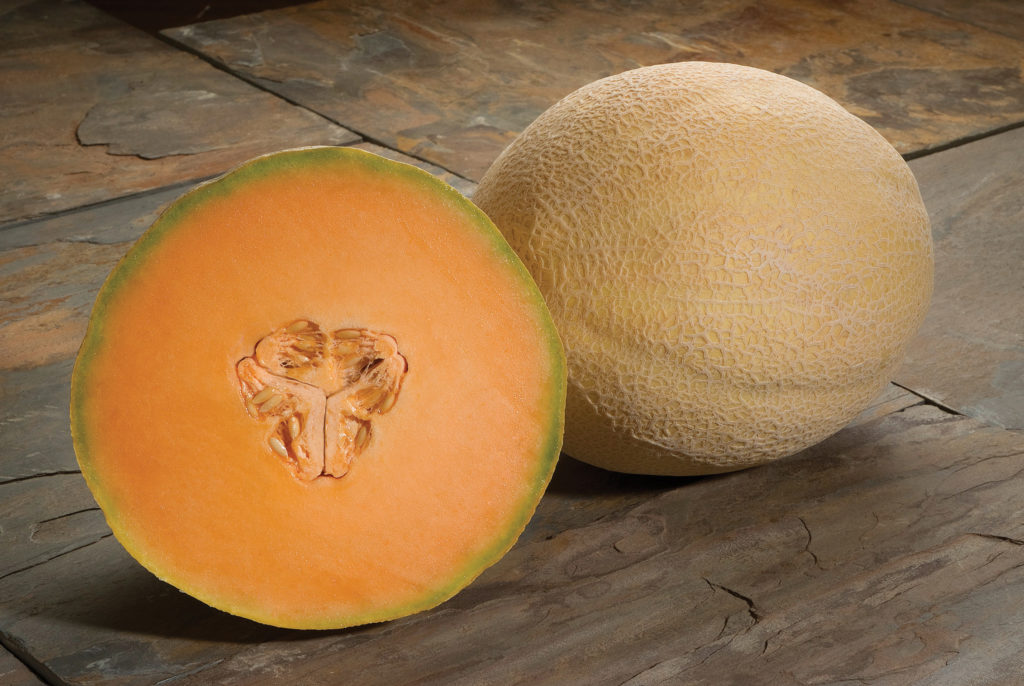 Canta_AtlantisSSX1268A-